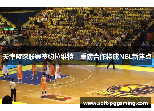 天津篮球联赛签约拉维特，重磅合作将成NBL新焦点